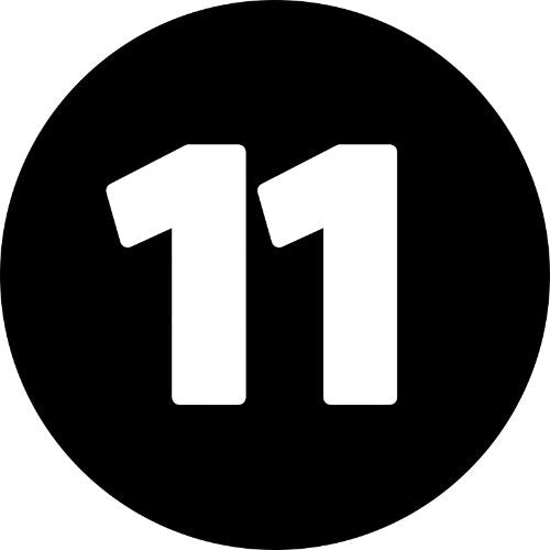 150-11 POWER CORD WITH PLUG